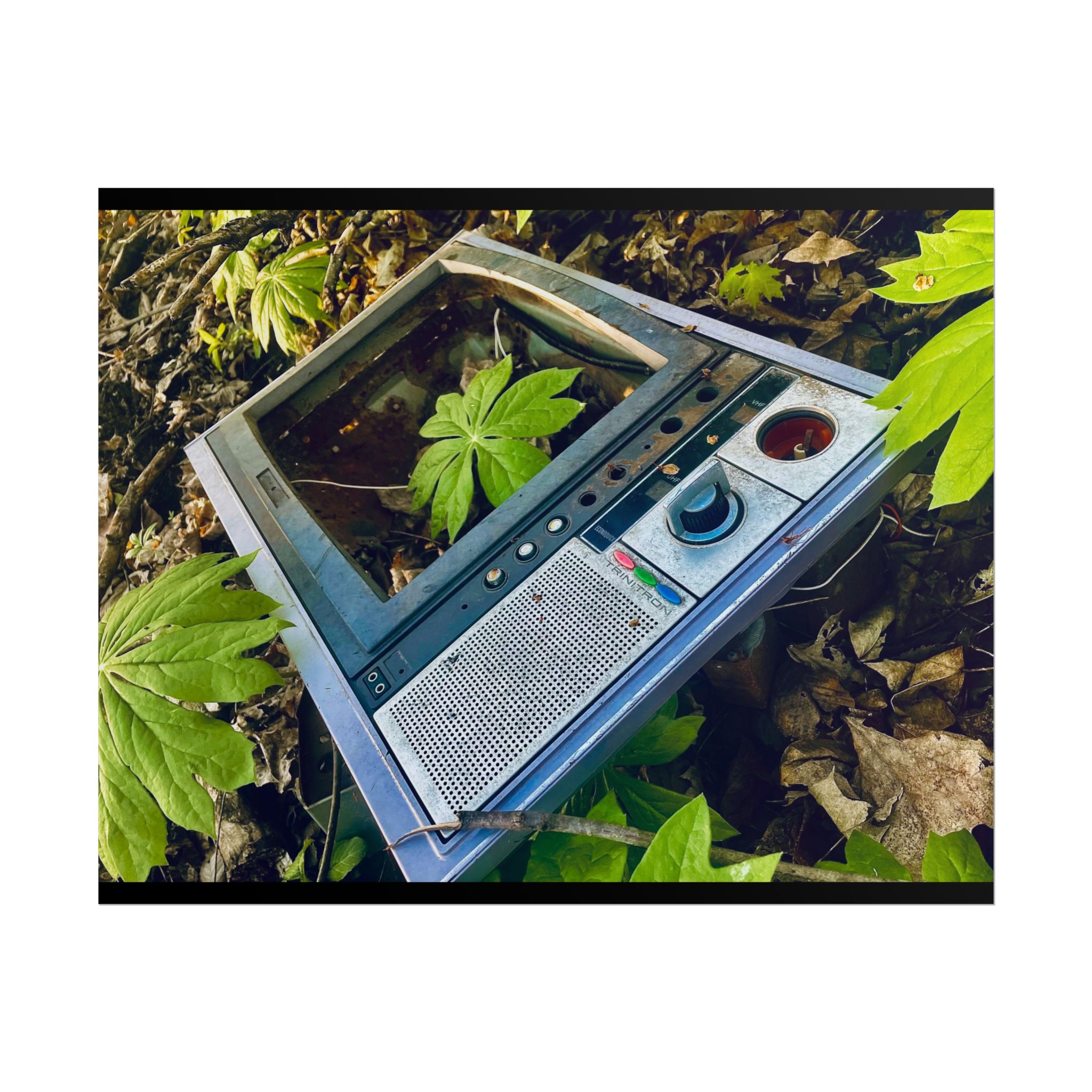 Retro Degrade Rolled Posters - Image 2