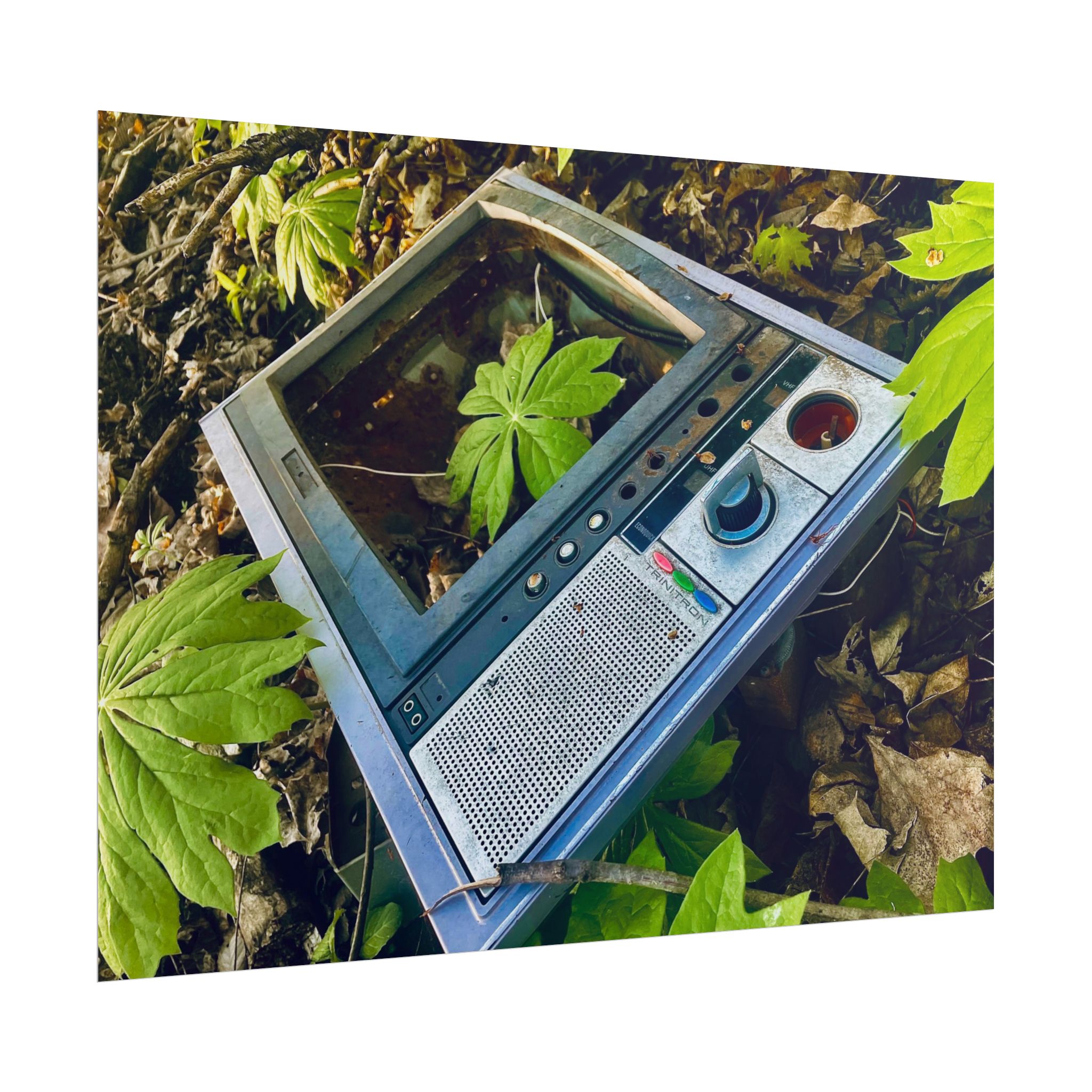 Retro Degrade Rolled Posters - Image 5