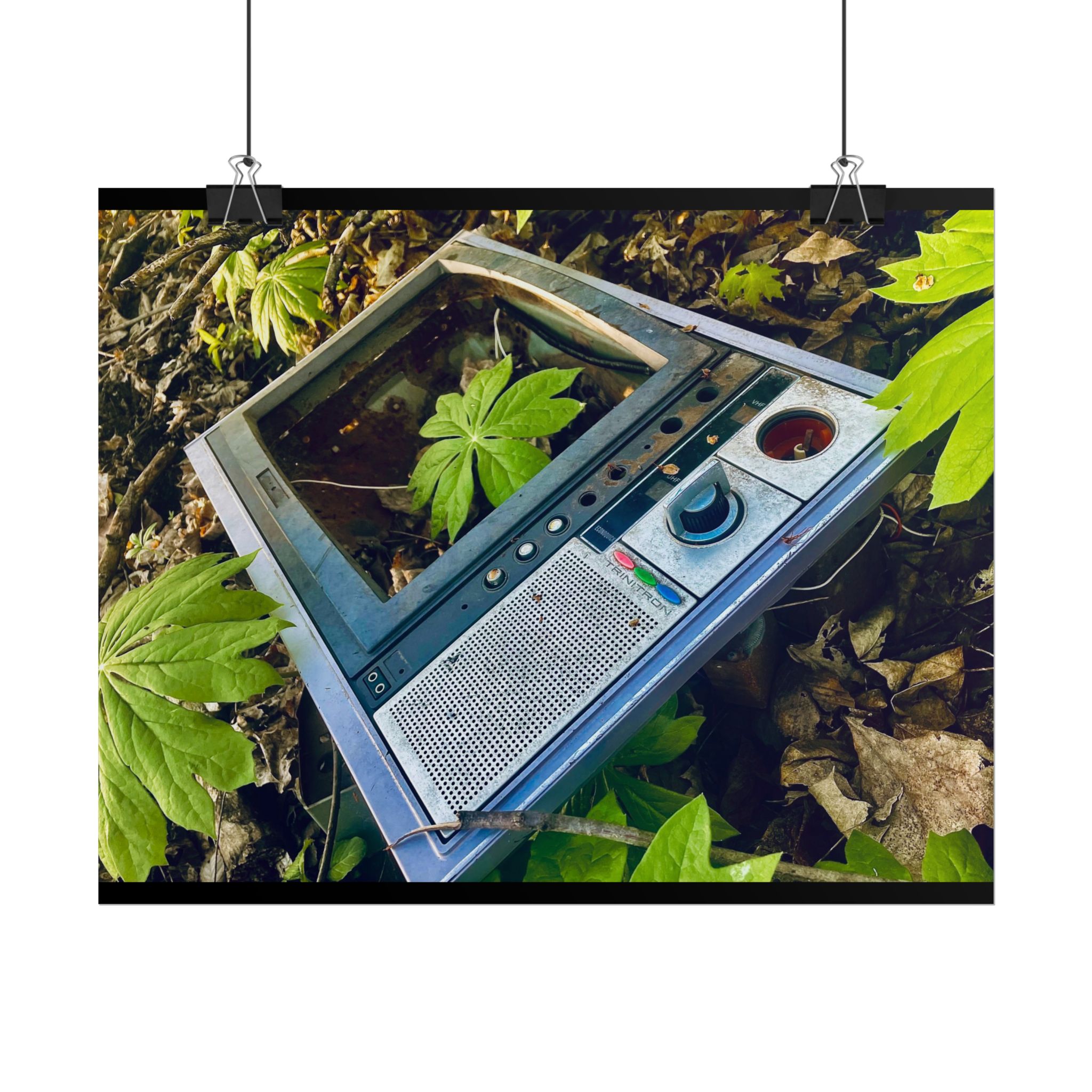 Retro Degrade Rolled Posters